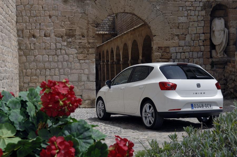  Seat Ibiza 2008 года  (фото 186 из 287)